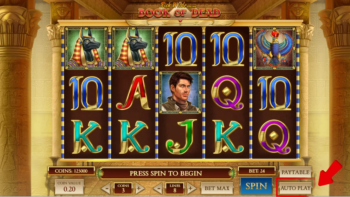 Book of Dead Autoplay